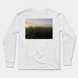 Creepy Maize Field In France Long Sleeve T-Shirt